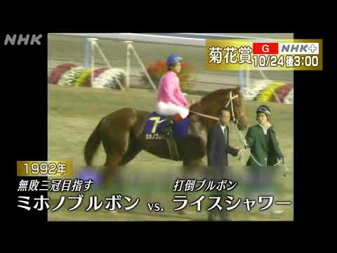 ミホノブルボンｖｓライスシャワー