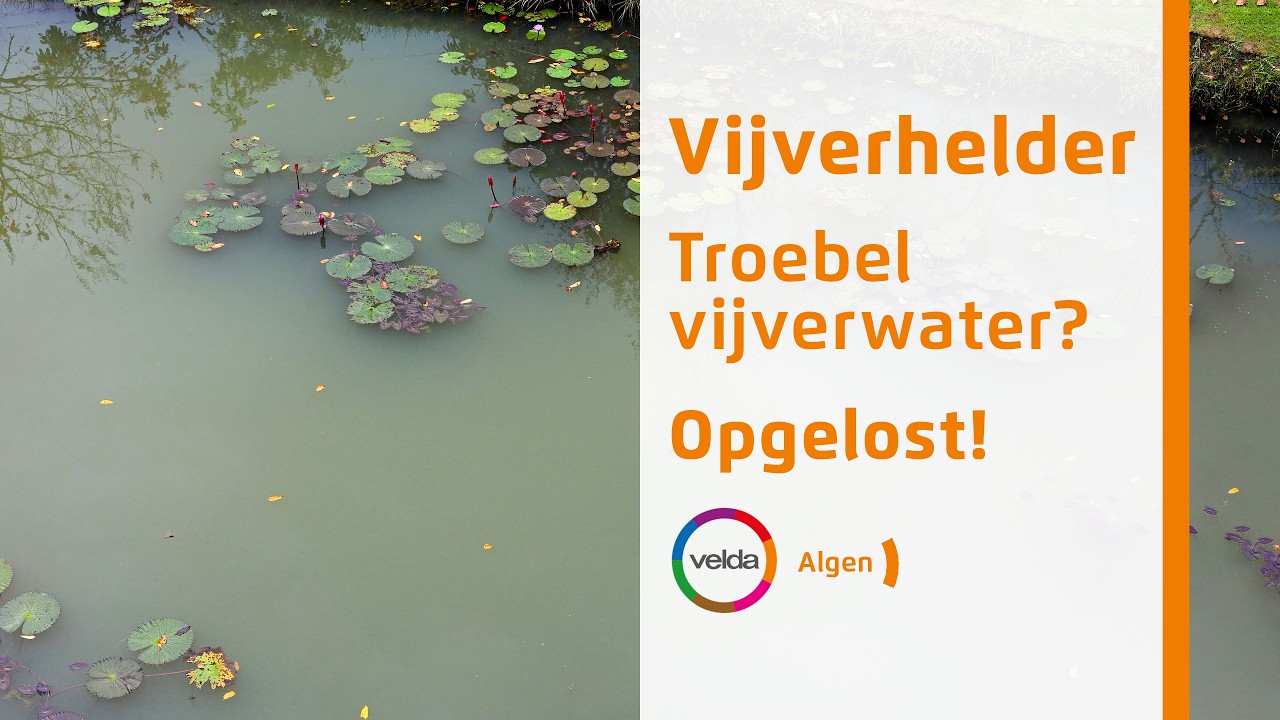 Vijverhelder