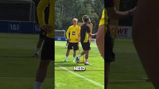 Borussia Dortmund - Nuri Sahin about throw in importance
