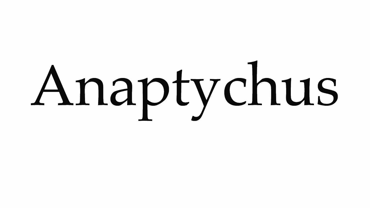 How to Pronounce Anaptychus