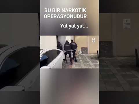 Canlı Narkotik operasyonu #narkotik #canlı #operasyon