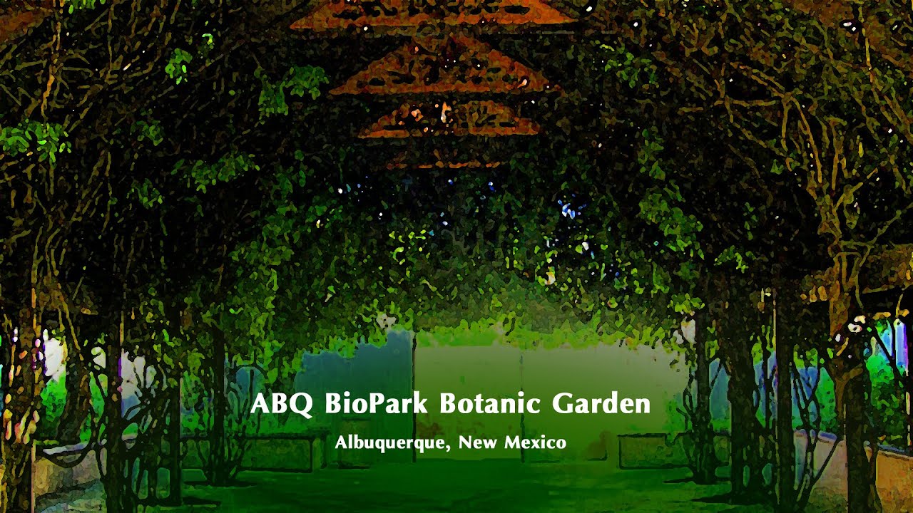 Abq Biopark Botanical Garden Albuquerque New Mexico Youtube