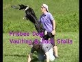 frisbee dog training: vaults & stalls