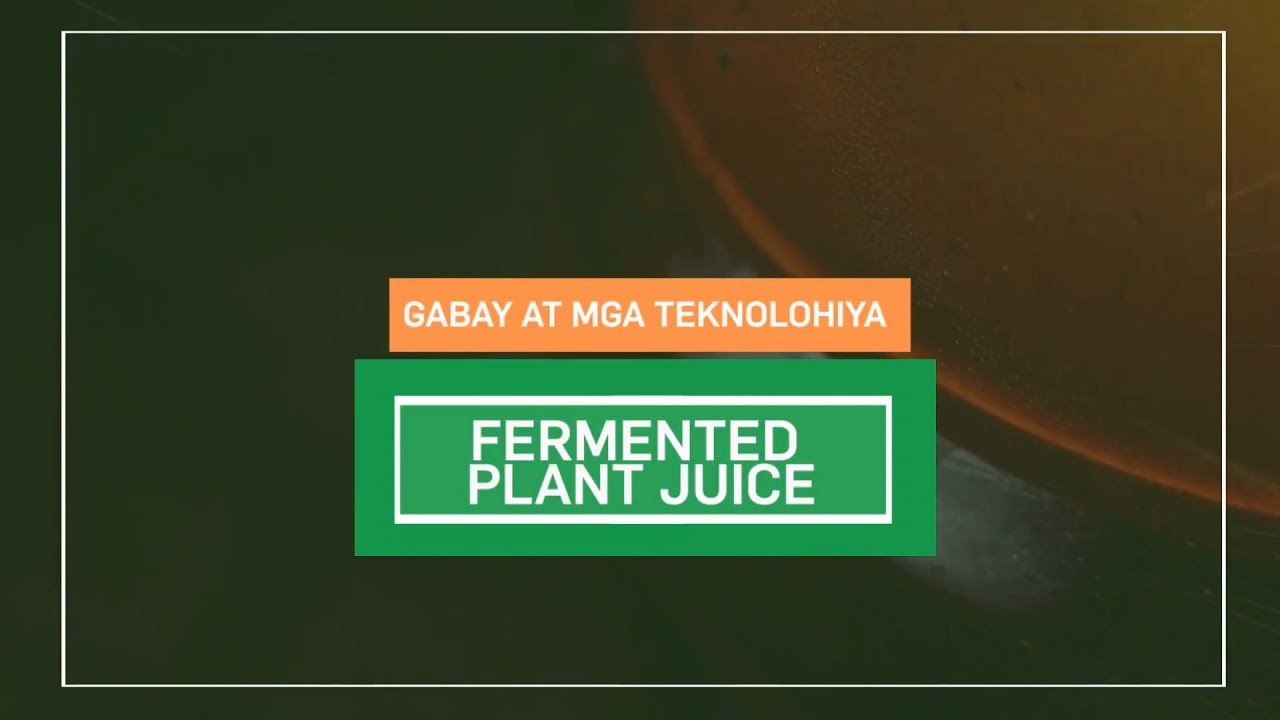 Episode 9 | 2 Easy Learning | Fermented Plant Juice