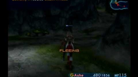 Save 029 - FFXII - Complete Speed Run - Part 2 - Ma