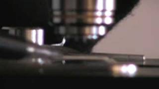 Focusing a compound microscope