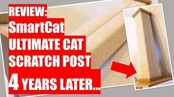 REVIEW: SmartCat Ultimate Cat Scratch Post - 4 Years Later...