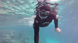 Sharks Bay, Sharm -el- Sheikh, 2026.02