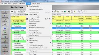 how to make global changes in primavera P6