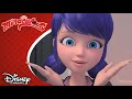 👮 Nepřiměřená demonstrace síly | Kouzelná Beruška a Černý kocour | Disney Channel Česká republika