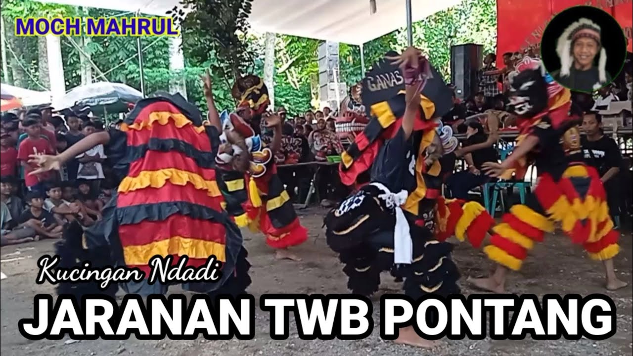 JARANAN KUCINGAN TRESNO WAHYU BUDOYO LIVE JATISARI JEMBER 2023