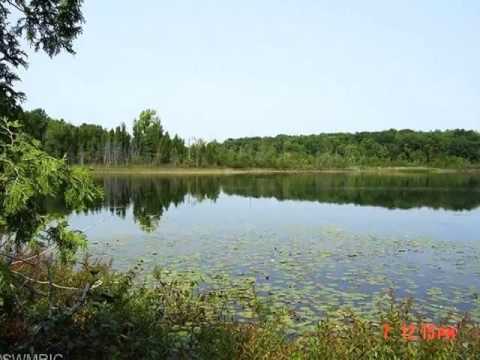 14825 20th Ave, Remus, MI home video tour