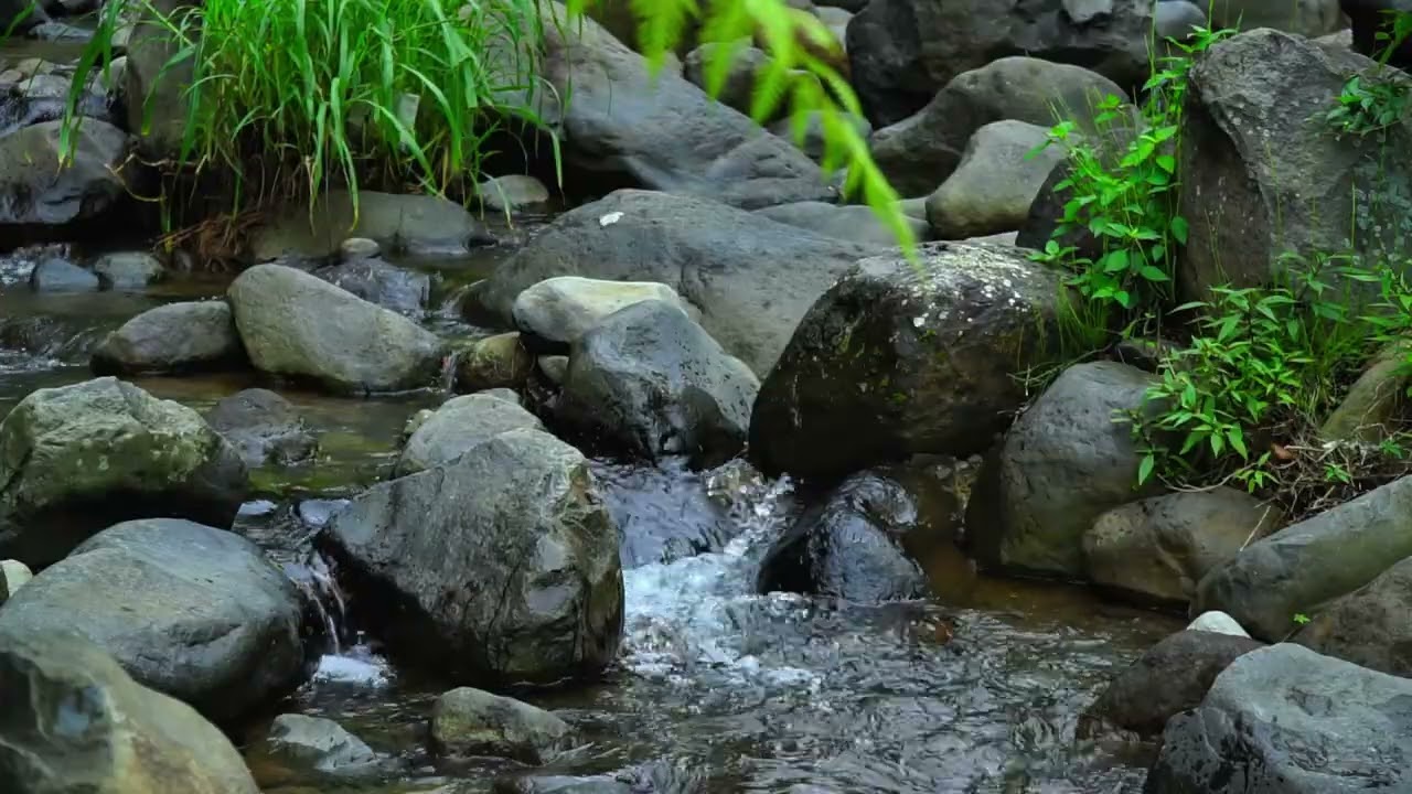 Flowing River Sounds for Studying and Focus | Relaxing Nature Water Ambience