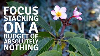 Focus Stacking on a Budget of Absolutely Nothing