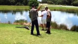 Gator trappers