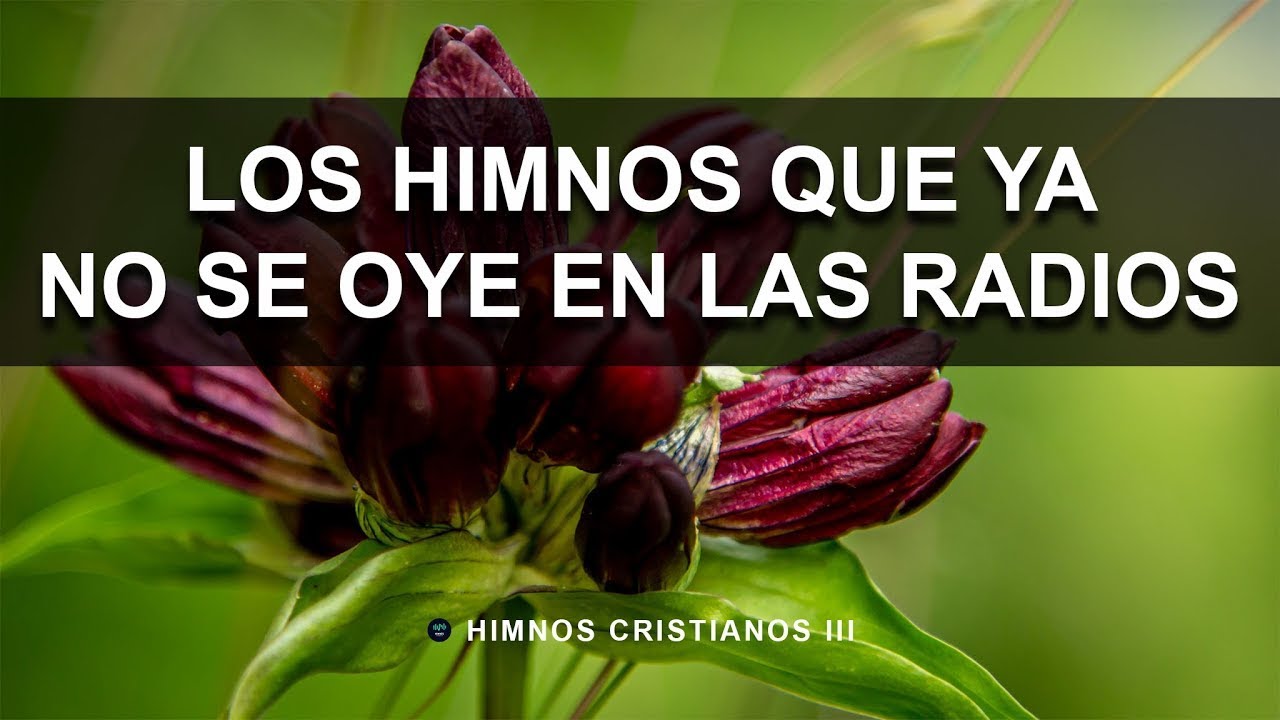 😭 Himnos del Ayer que Quebrantan el Corazón 🙏 | Alabanzas Suaves para Adorar