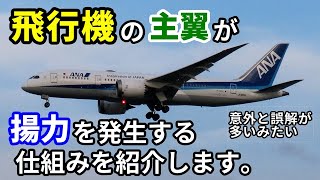 【飛行機のイロハ93】なぜ飛行機は飛ぶことが出来るのか