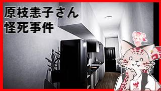 【ささんと】怪死事件の謎を追おう【原枝恚子さん怪死事件】