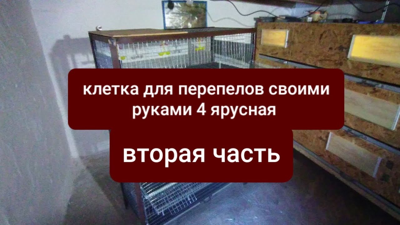 КЛЕТКА ДЛЯ ПЕРЕПЕЛОВ 4 ярусная своими руками(2 часть)