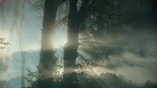 Magical Hogsback