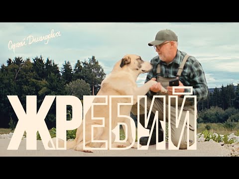 Сергей Демидович Жребий Official Music Video