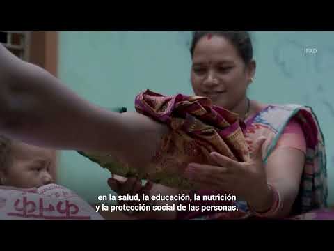 Mensaje del Secretario General con motivo del Día Internacional de la Paz