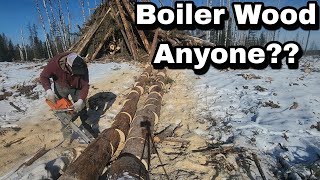 Boiler Wood Anyone