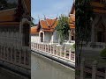 #amazing #beautiful #temple Wat Benja Temple #tourism #tour #buddhism #amazing #shorts #viral #bkk