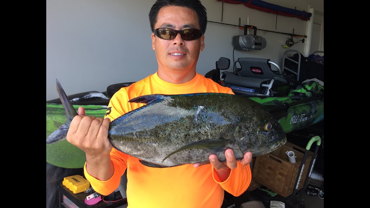 Daiwa SP Minnow Omilu Fun