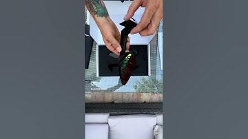 UNBOXING mirrors DAEMON DBRACE #ducati #bike #moto #dbrace #superbike #motovlog #4k #ducatipanigale