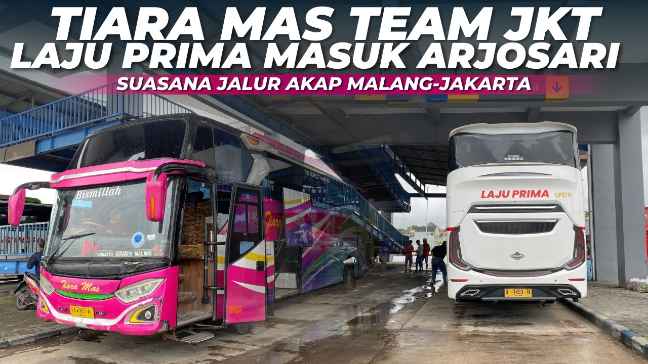 Bus Laju Prima Malang - Bogor 276 Masuk Arjosari bareng Tiara Mas tim Jakarta