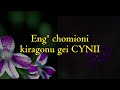 CYNII BY BRUNI STAR LATEST SONG