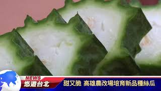 1061213【悠遊台北新聞】甜又脆 高雄農改場培育新品種絲瓜(記者 陳家豐)