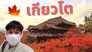 เที่ยวญี่ปุ่นใบไม้เปลี่ยนสี เกียวโต วัดน้ำใส วัดเอกันโดะ EP1