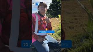 Mahi Pono summer ag program—teens learning farming and water management to help wildfire survivors