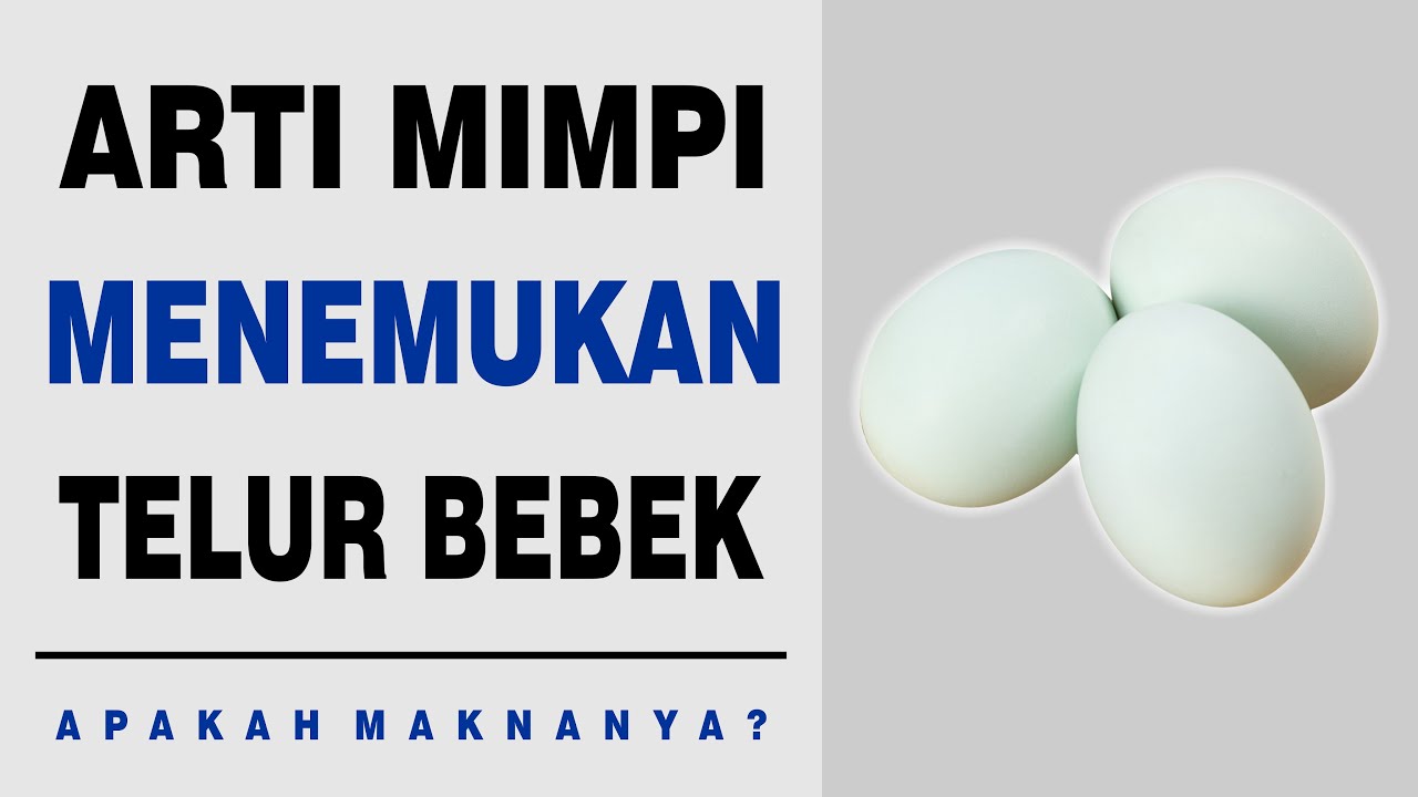 Arti Mimpi Menemukan Telur Bebek YouTube