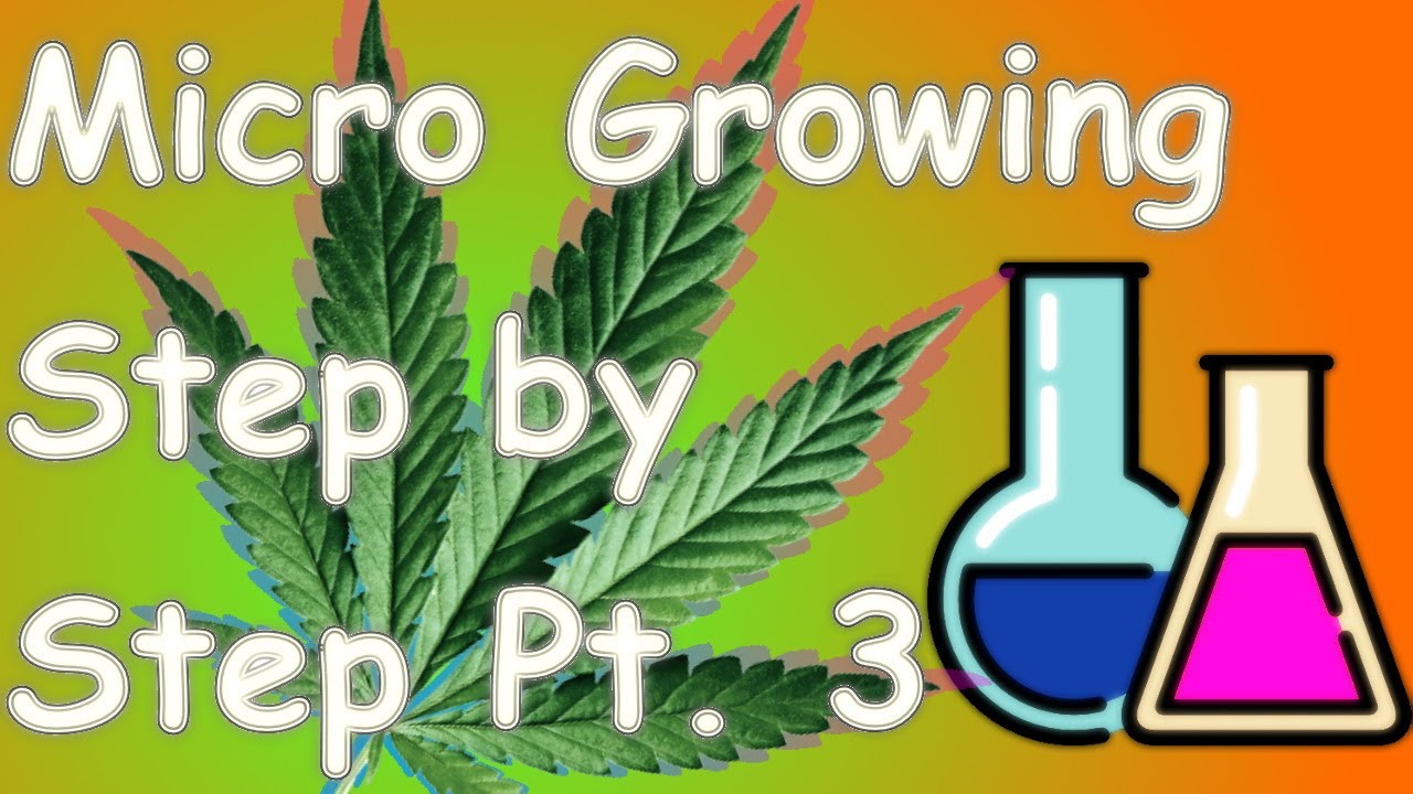 Micro Growing Step by Step Part 3 - Nutrients.
