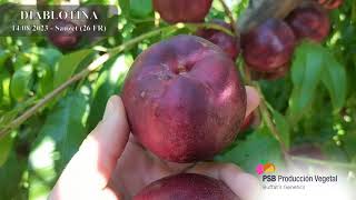 Diablotina, Drôme - Agosto 2023