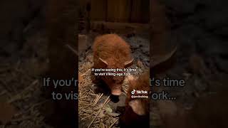 Its time to visit!