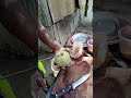 Kodble makha #streetfood #short #shorts