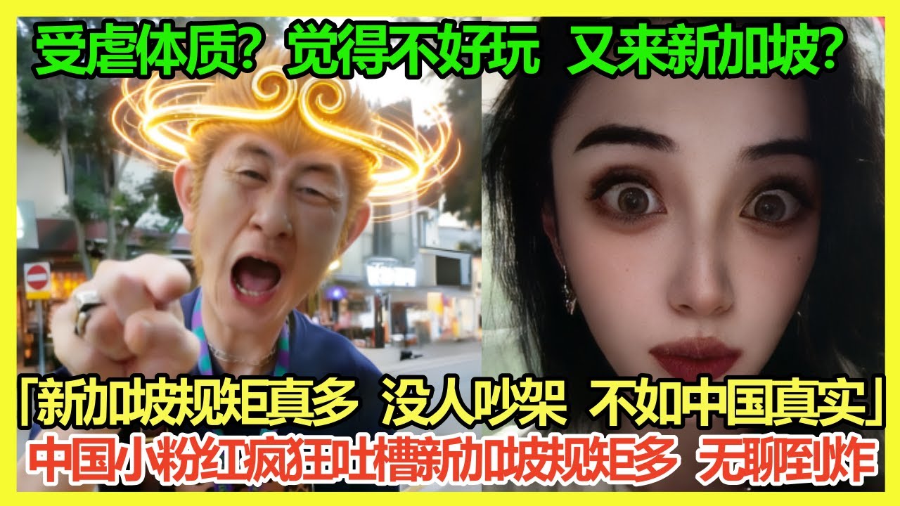 「新 加 坡 是 最 无 聊 的 国 家」中国博主称新加坡死气沉沉巨无趣「我在中国每天都能看见中国大妈路上吵架，新加坡根本没人吵，没中国热闹」中国仙女吐槽新加坡夜间动物园巨无聊，网友：知道无聊你还来？