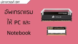 ปลาหวันทีวี #26 - อัพเกรด RAM ให้ PC และ Notebook