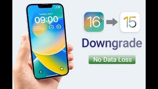 Hướng dẫn chi tiết cách hạ cấp từ iOS 16 về 15.6 RC từ iPhone 13 trở xuống (Update 2/11) screenshot 5
