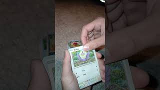 Pokemon Black Bolt Opening 002