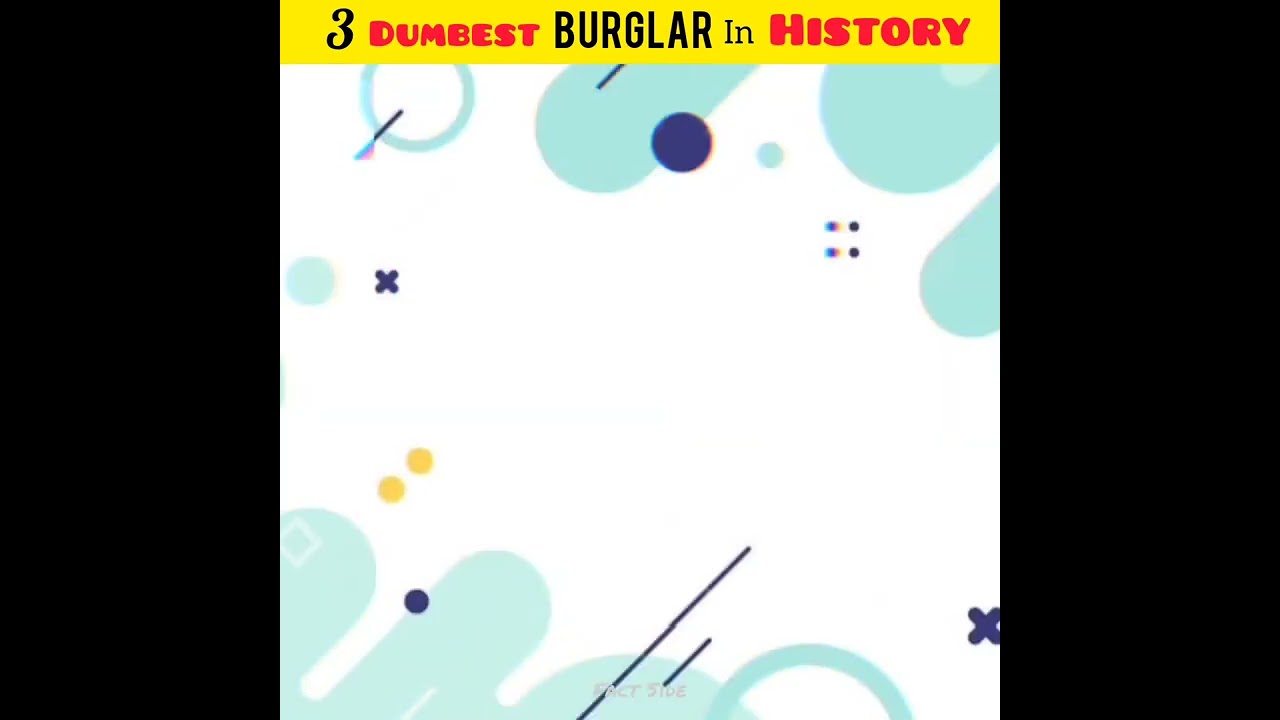 3 Dumbest Burglar in History | Fact side | 