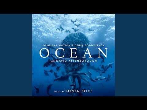 Putar The Shallow Seas - Steven Price