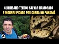 Montanhista curitibano tenta salvar namorada e morre picado por Cobra no Panamá | Biólogo Henrique