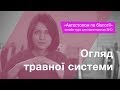 Огляд травної системи – Підготовка до ЗНО – Біологія