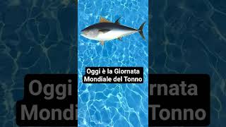 Il tonno è un pesce ma esiste anche il tonno in scatola 🐟