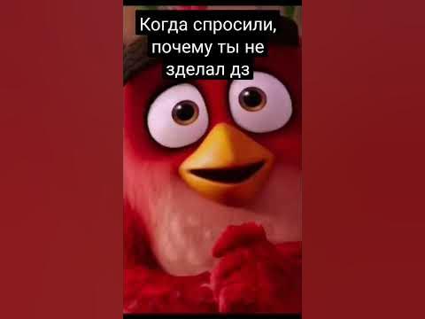 Мем Энгри бердс (права себе не присваиваю) - YouTube